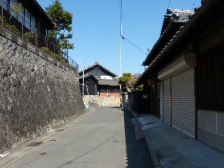 画像7